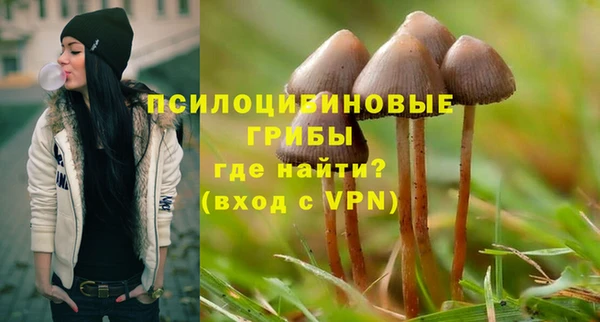 спиды Алексин